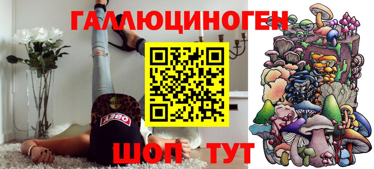 Галлюциногенные грибы Psilocybe Шали