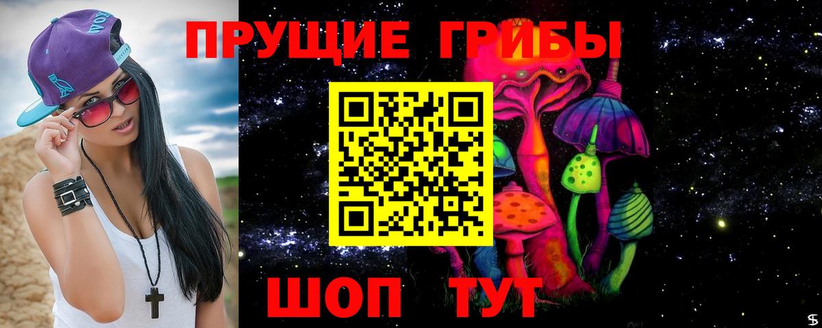 Галлюциногенные грибы Magic Shrooms  Псилоцибиновые грибы GOLDEN TEACHER  купить  цена  Шали  Вход с VPN 